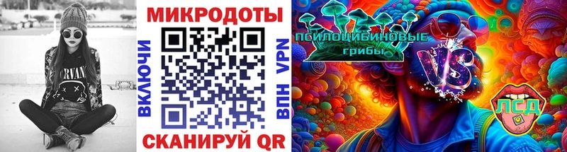 Псилоцибиновые грибы MAGIC MUSHROOMS  Дубовка 
